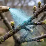 sekret-zdrowych-jabloni-tkwi-w-odpowiednim-wiosennym-traktowaniu-siarczanem-miedzi.png